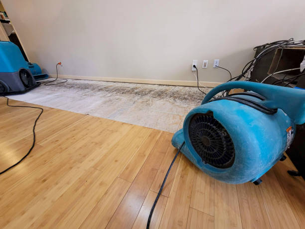 Professional Flood Damage Cleanup technician working in Belgrade, MN